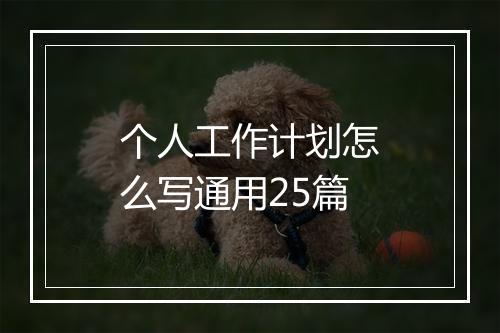 个人工作计划怎么写通用25篇