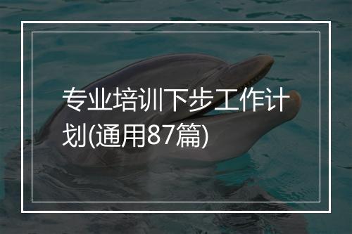 专业培训下步工作计划(通用87篇)