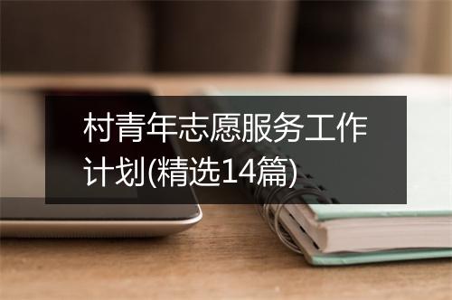 村青年志愿服务工作计划(精选14篇)