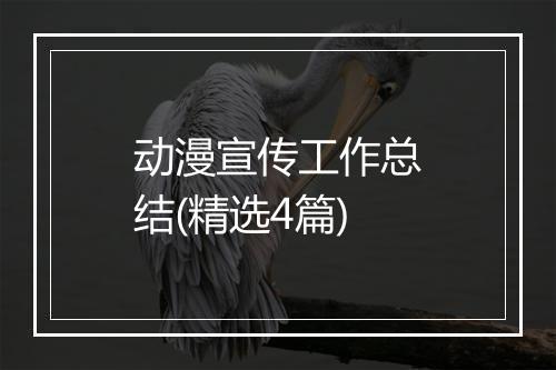动漫宣传工作总结(精选4篇)