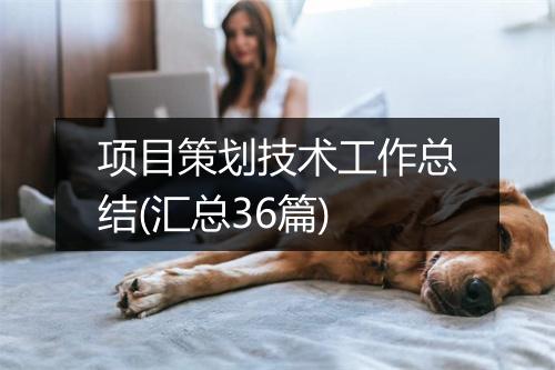 项目策划技术工作总结(汇总36篇)