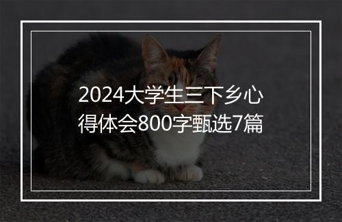 2024大学生三下乡心得体会800字甄选7篇