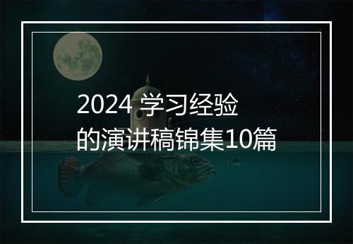 2024 学习经验的演讲稿锦集10篇