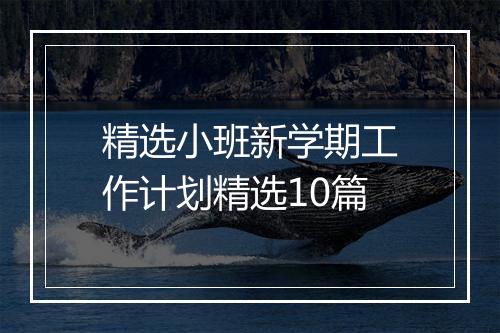 精选小班新学期工作计划精选10篇