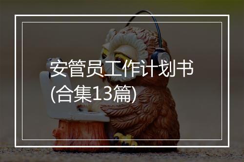 安管员工作计划书(合集13篇)