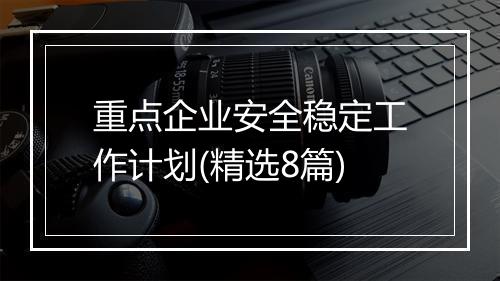 重点企业安全稳定工作计划(精选8篇)