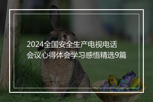 2024全国安全生产电视电话会议心得体会学习感悟精选9篇