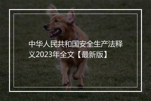 中华人民共和国安全生产法释义2023年全文【最新版】