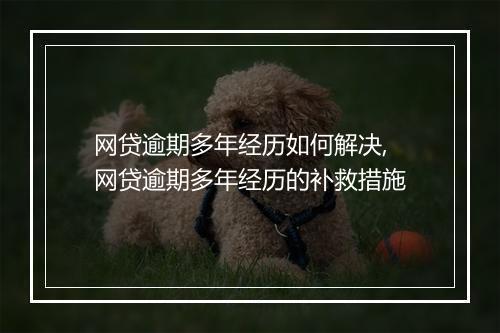 网贷逾期多年经历如何解决,网贷逾期多年经历的补救措施