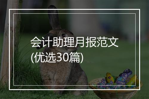 会计助理月报范文(优选30篇)