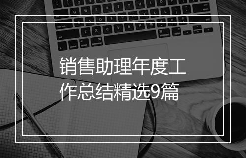 销售助理年度工作总结精选9篇