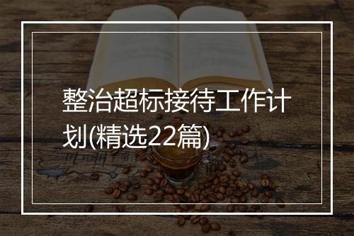 整治超标接待工作计划(精选22篇)