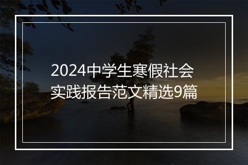 2024中学生寒假社会实践报告范文精选9篇