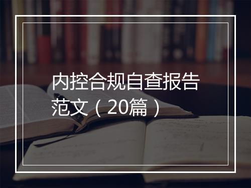 内控合规自查报告范文（20篇）