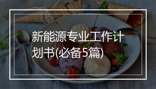 新能源专业工作计划书(必备5篇)