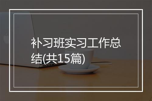 补习班实习工作总结(共15篇)