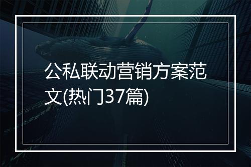 公私联动营销方案范文(热门37篇)