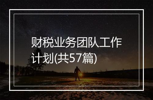 财税业务团队工作计划(共57篇)