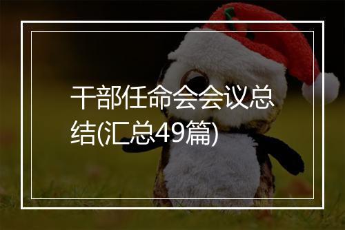 干部任命会会议总结(汇总49篇)