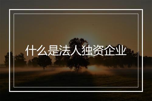 什么是法人独资企业