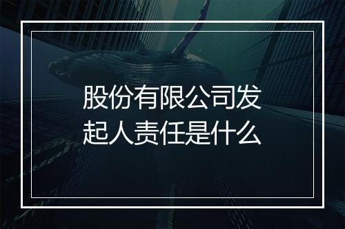 股份有限公司发起人责任是什么