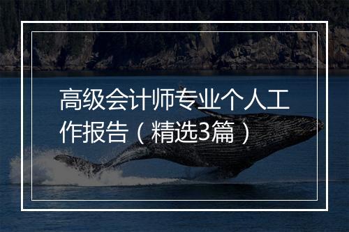 高级会计师专业个人工作报告（精选3篇）