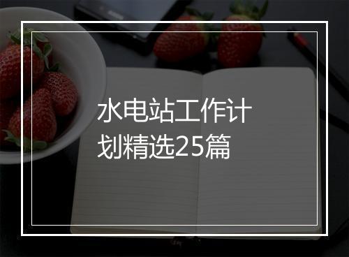 水电站工作计划精选25篇