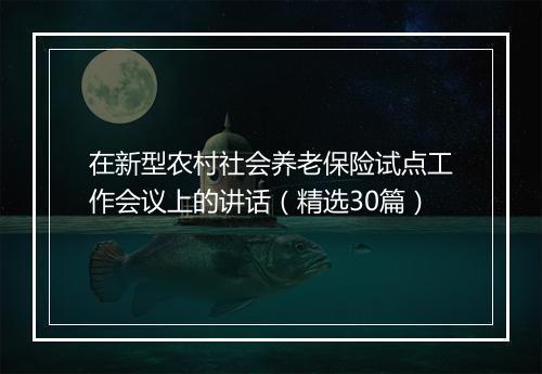 在新型农村社会养老保险试点工作会议上的讲话（精选30篇）