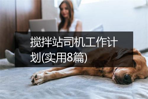 搅拌站司机工作计划(实用8篇)