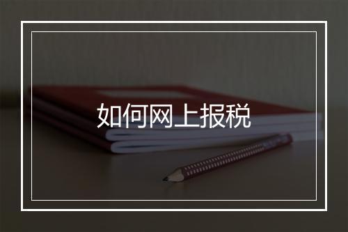 如何网上报税