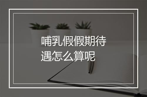 哺乳假假期待遇怎么算呢