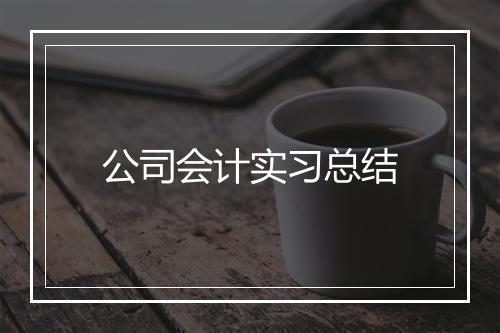 公司会计实习总结