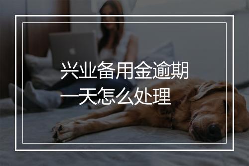 兴业备用金逾期一天怎么处理