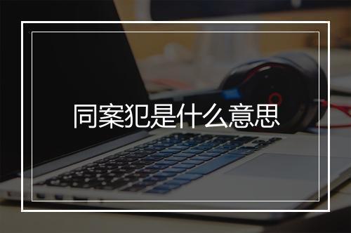 同案犯是什么意思
