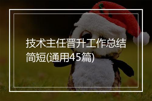 技术主任晋升工作总结简短(通用45篇)