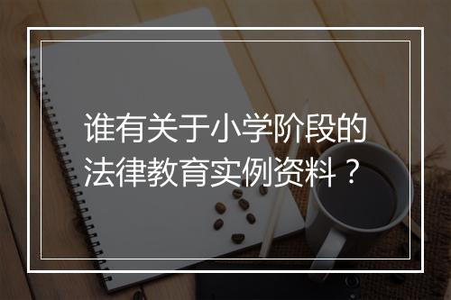 谁有关于小学阶段的法律教育实例资料？