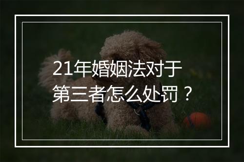 21年婚姻法对于第三者怎么处罚？