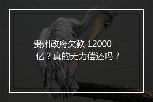 贵州政府欠款 12000 亿？真的无力偿还吗？