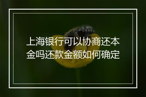 上海银行可以协商还本金吗还款金额如何确定