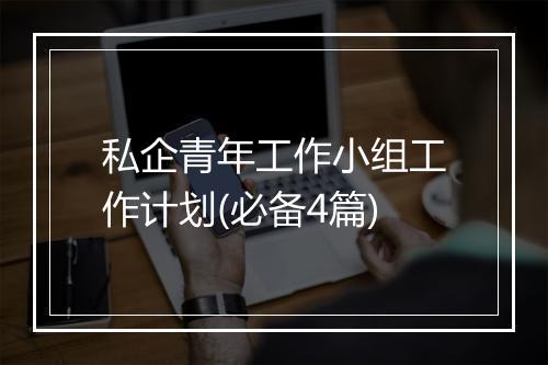私企青年工作小组工作计划(必备4篇)