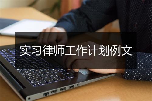 实习律师工作计划例文