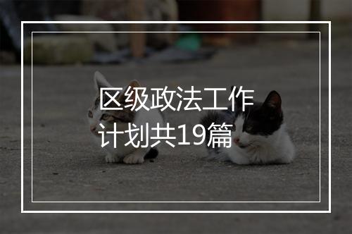区级政法工作计划共19篇