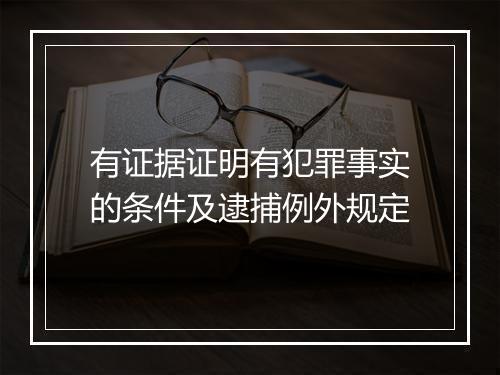 有证据证明有犯罪事实的条件及逮捕例外规定