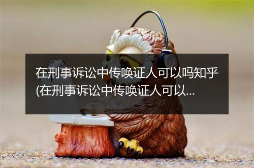 在刑事诉讼中传唤证人可以吗知乎(在刑事诉讼中传唤证人可以吗)