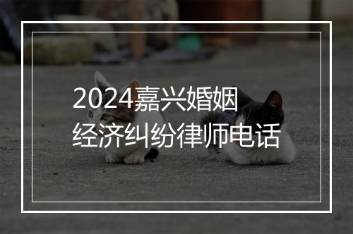 2024嘉兴婚姻经济纠纷律师电话