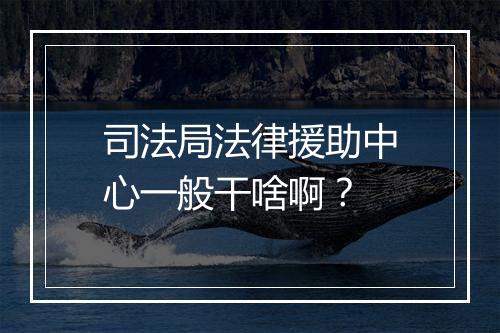 司法局法律援助中心一般干啥啊？