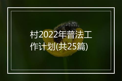 村2022年普法工作计划(共25篇)