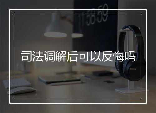 司法调解后可以反悔吗