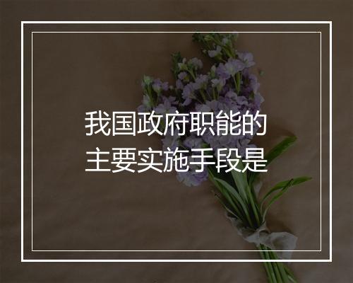 我国政府职能的主要实施手段是
