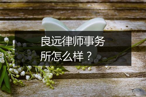 良远律师事务所怎么样？